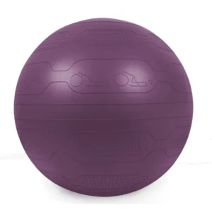 65cm Yoga Ball, Anti-Burst, Exercises Poses Embossed