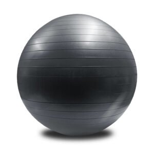 Exercise Ball with Pump for Stability, Gray