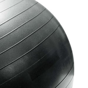 Exercise Ball with Pump for Stability, Gray